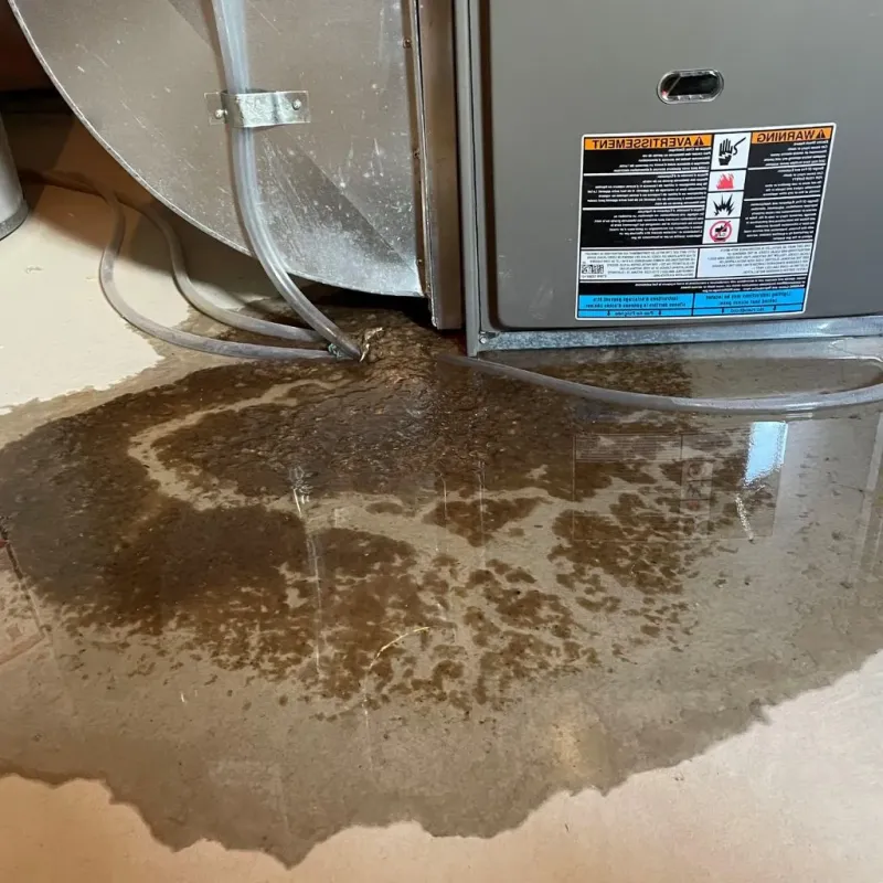 Pipe Burst and Leak Restoration in Warwick, RI